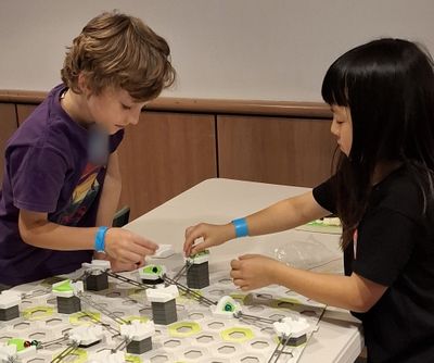 Two children building a marble run together at a table